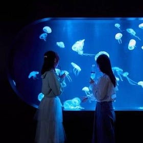 AOAO SAPPORO水族館（北海道）