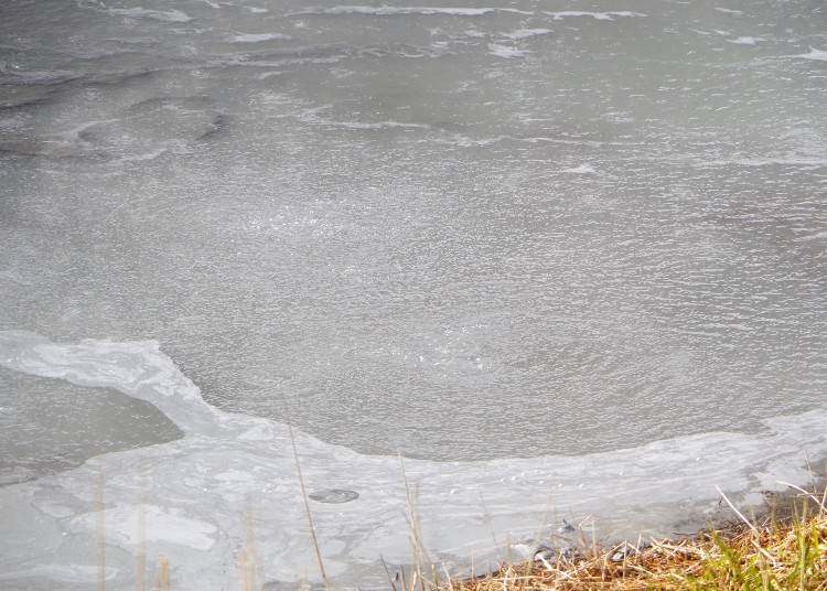 沼底から硫黄の成分を含む温泉が噴き出している