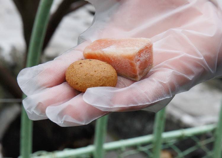 Bag of cookie 100 yen, bag of sake toba (dried salmon) 300 yen. Snacks come with plastic gloves so your hands don’t get dirty