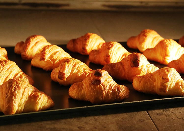Croissants hot out of the oven offered in the morning