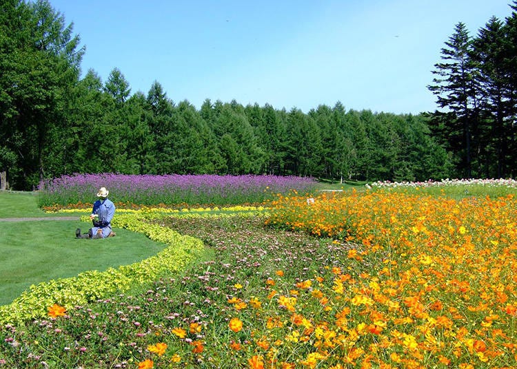 Immaculately kept flowerbeds maintained throughout the year, their colors changing with the seasons