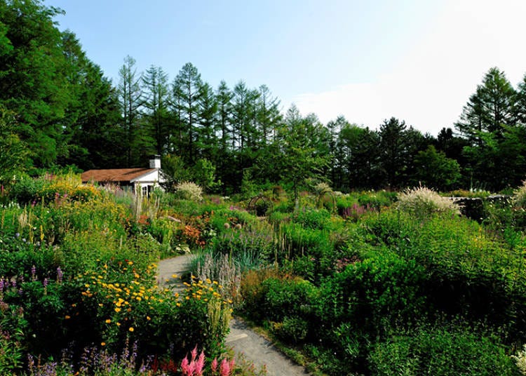 A colorful garden utilizing the natural scenery