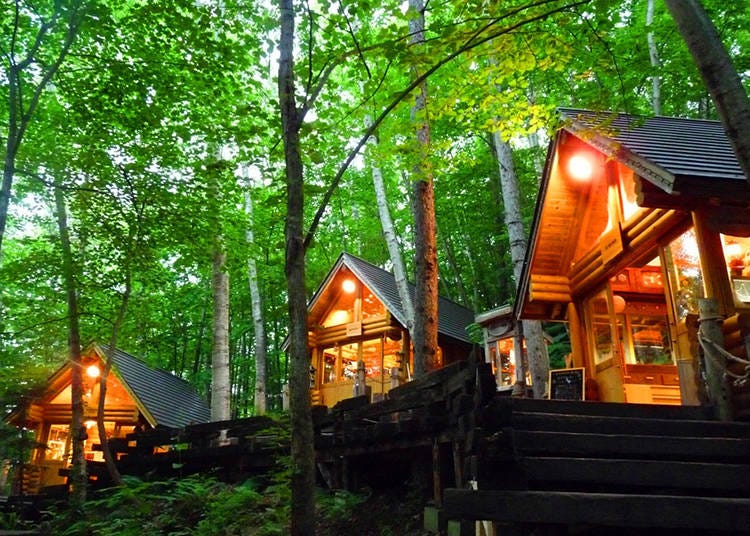 A number of small log cabins sit quietly among the trees in a fairyland setting