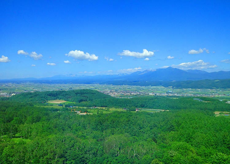 從十勝岳的客房可以看到富良野盆地的景觀。其中高樓層的「十勝岳側高樓層雙人床房(十勝岳側高層階ツインルーム)」的景觀最為壯麗。