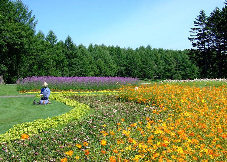 「郊遊花園 (ピクニックガーデン)」中有各種花園，可欣賞到四季不同的景致