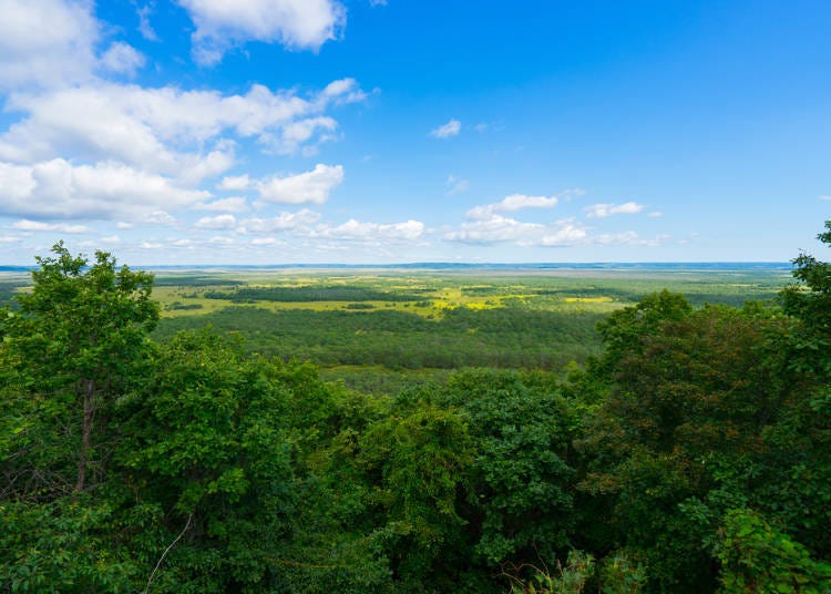 Kushiro Shitsugen National Park wetlands