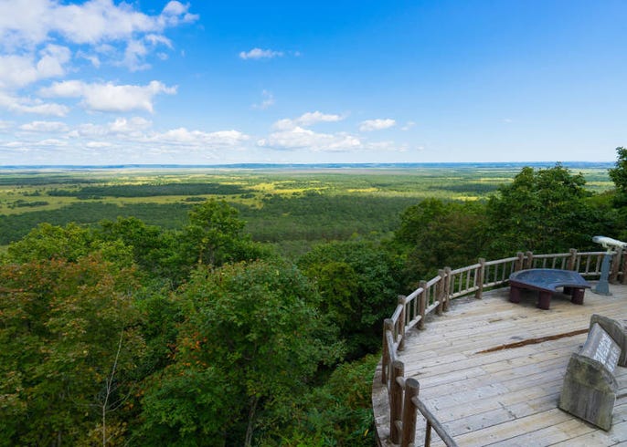 日本最大濕地 北海道釧路濕原的最佳旅遊季 遊玩景點大公開 Live Japan 日本旅遊 文化體驗導覽