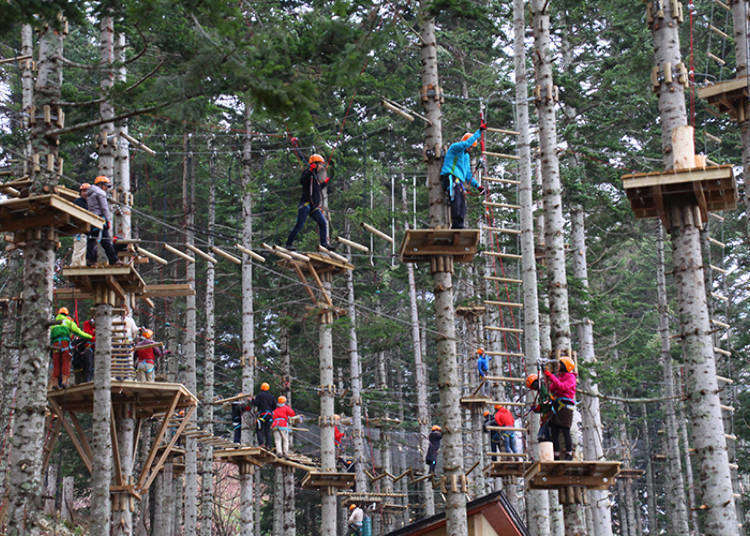 Japan's Niseko Summer Activities Will Make You Feel Like a Crazy Kid Again