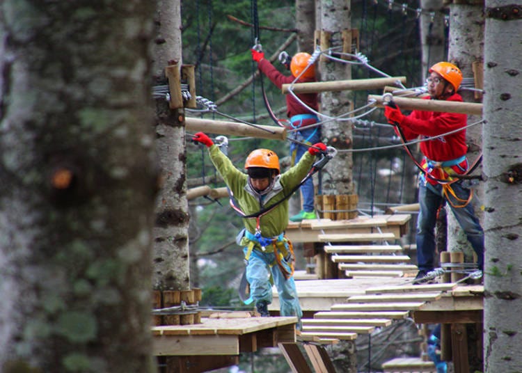 Equip your harness and go on an adventure in the forest!