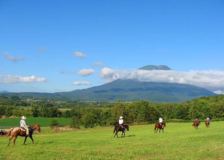 K2 Stable: Enjoy Niseko’s Majestic Outdoors on Horseback