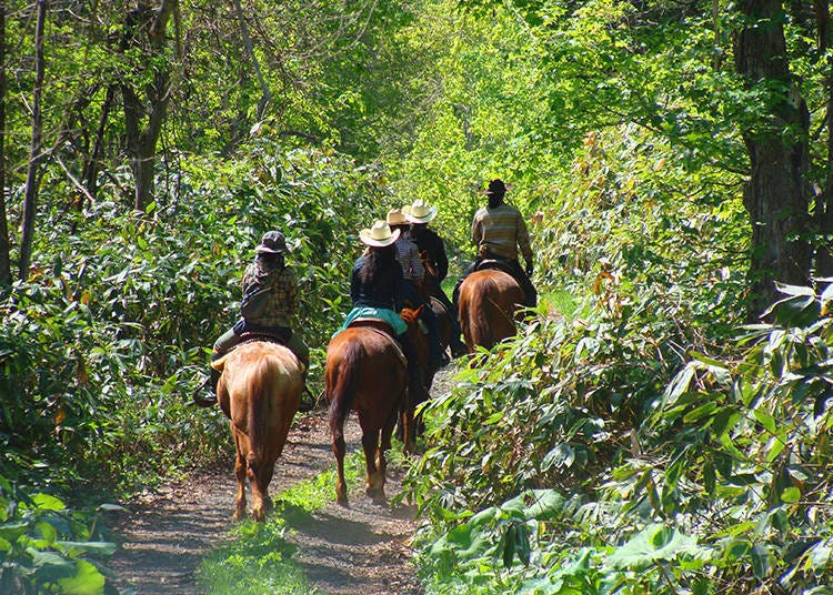 The guide will lead the way through the luscious nature