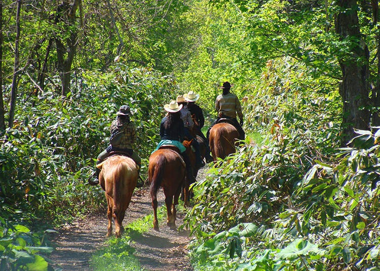 骑着马儿跟着导游穿梭过绿意盎然的森林小道。