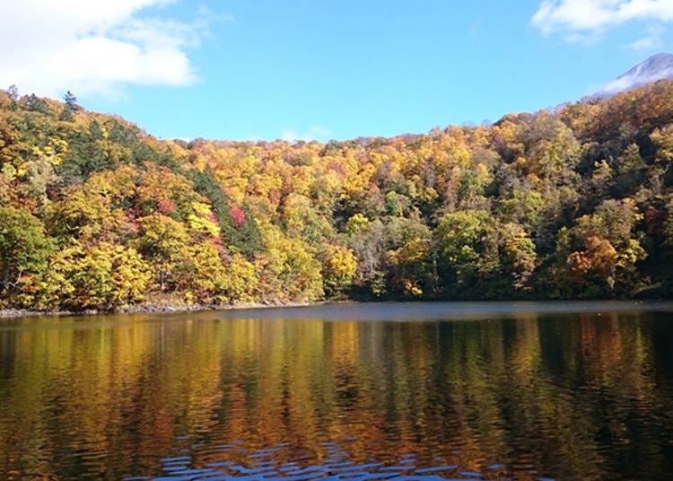 夏天波光粼粼、呈現翡翠鮮綠色的半月湖面到了秋季則會映照出周遭紅葉的顏色。