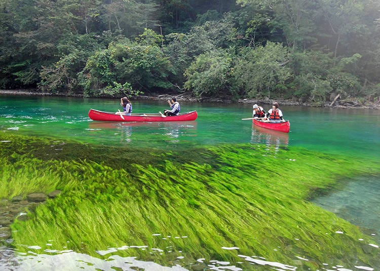 In 'Private canoe cruising', you can spend your free time in places you are dreaming of