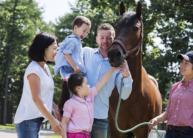 Petting Experience (free) where small children can safely pet horses under staff guidance. You can also take pictures.