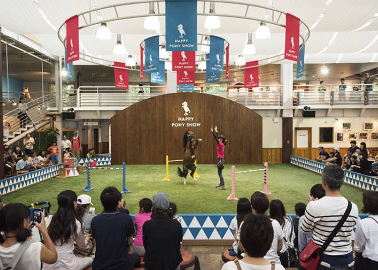 The free Happy Pony Show. A humorous show where smart ponies perform tricks and jump over obstacles is a must watch!