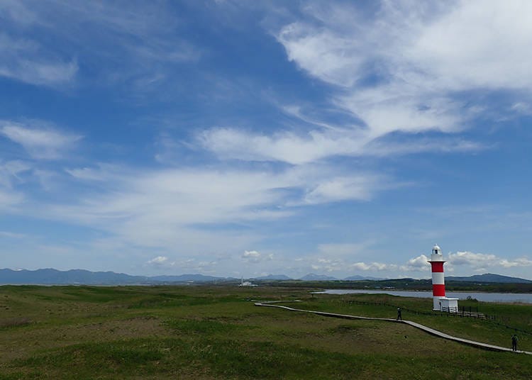 While feeling the wind and listening to the sound of the waves of Ishikarihama (Ishikari Beach), you can go on a stroll looking at the gorgeous flowers in Hamanasu no Oka Park