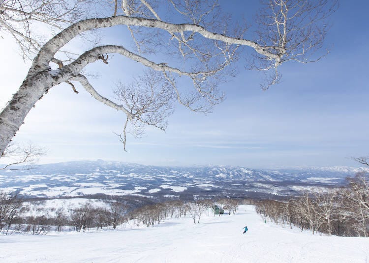 How to get to the Niseko ski resorts