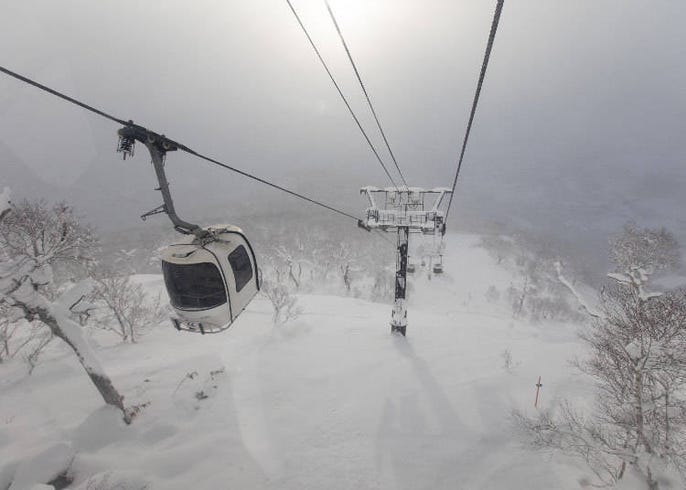 live japan