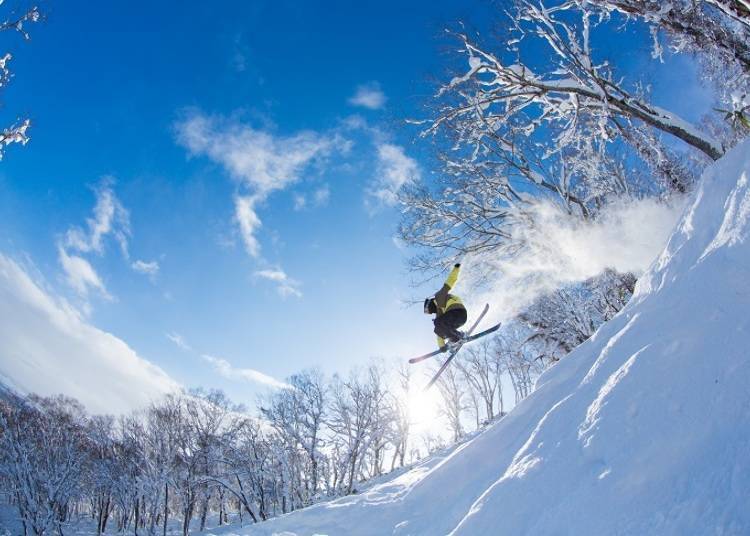 니세코 지역 스키 최고의 시즌은?