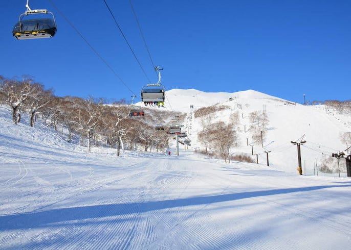 live japan