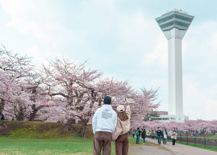 北海道の春（3月・4月・5月）の天候と服装は？北海道在住者が見どころもアドバイス