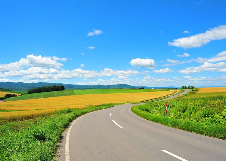 北海道の夏(6~8月)の平均気温・降水量