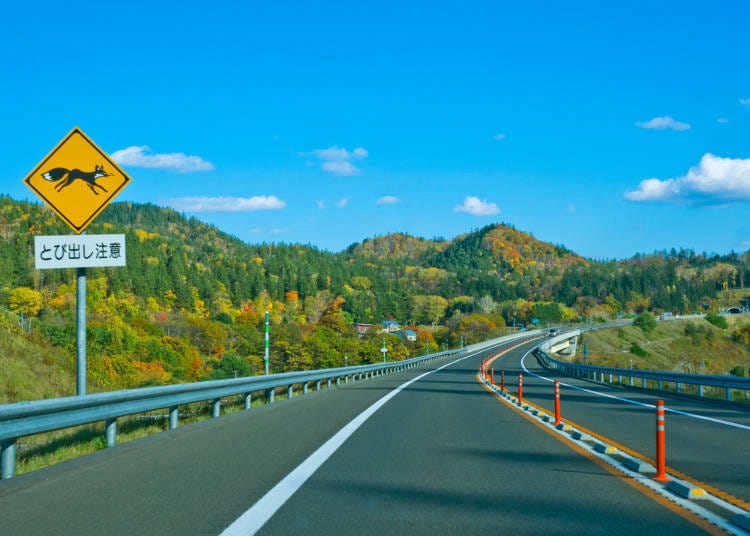 5. How can I rent a car for my trip in Hokkaido?
