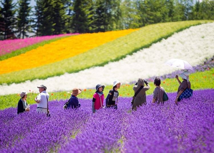 10. Any tour packages I can take to enjoy Hokkaido to the fullest?