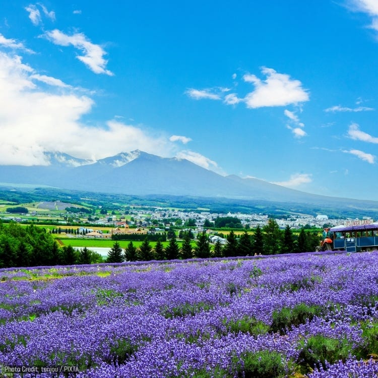 圖片來源：PIXTA