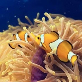 新札幌陽光廣場水族館門票預售（北海道札幌）