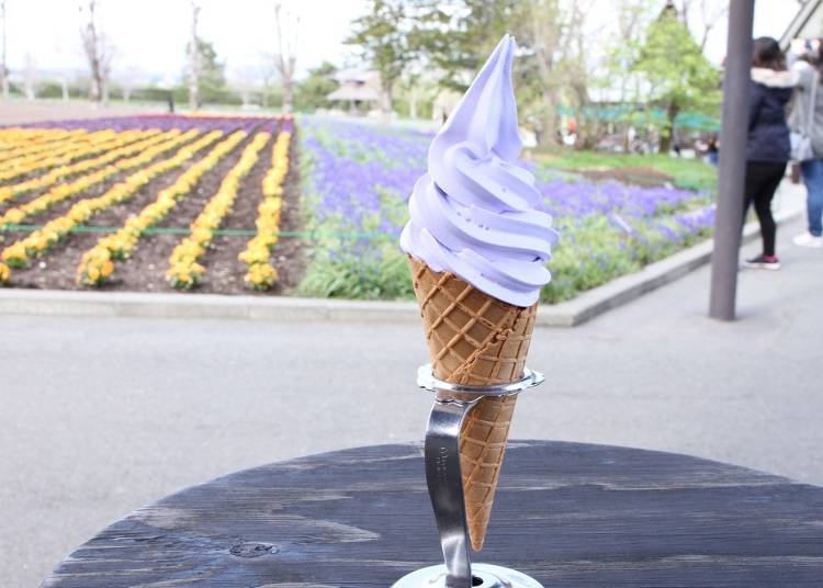 Lavender soft-serve ice cream (300 yen). The refreshing sweetness and lavender flavor is perfect for a summer day