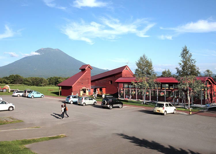 Delicious soft-soft served ice cream at a beautiful farm by the majestic Mt. Yotei