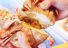 삿포로 여행 - 홋카이도 여행의 필수 코스인 니조시장에서 해산물을 맛보자!