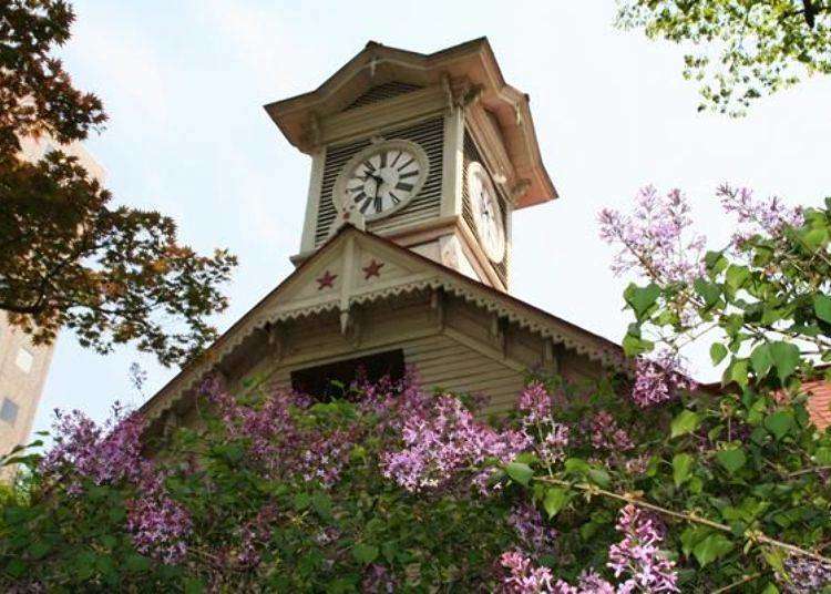 Sapporo Snapshots: Pro Tips on Taking Best Photos of the Iconic Sapporo Clock Tower!