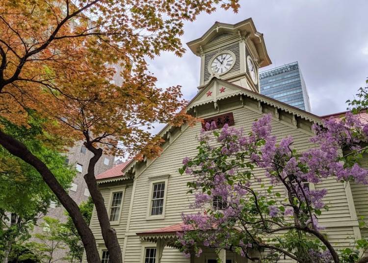 Stay in Sapporo: The Bustling Atmosphere of City Life!