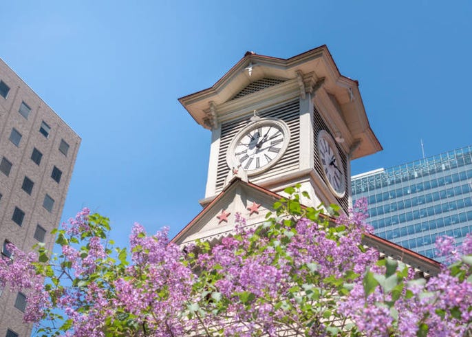 北海道を鉄道でめぐる その2 北海道主要駅間鉄道移動距離 時間まとめ Live Japan 日本の旅行 観光 体験ガイド