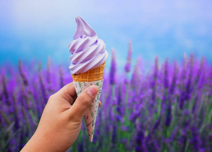 北海道を鉄道でめぐる その2 北海道主要駅間鉄道移動距離 時間まとめ Live Japan 日本の旅行 観光 体験ガイド