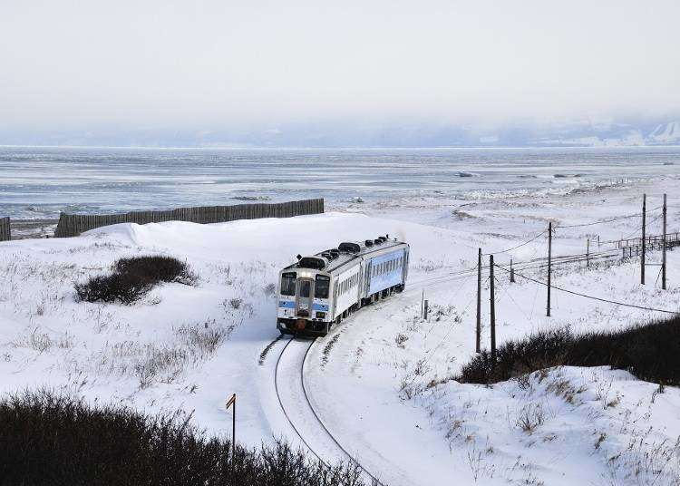週末鉄道旅行の参考に！ラベンダー畑も見られる「北海道おトクなきっぷ＆季節限定観光列車」