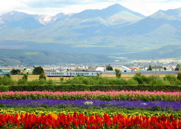 Travel Hokkaido by Train! Ultimate Guide to the Hokkaido Rail Pass and Seasonal Sightseeing Trains