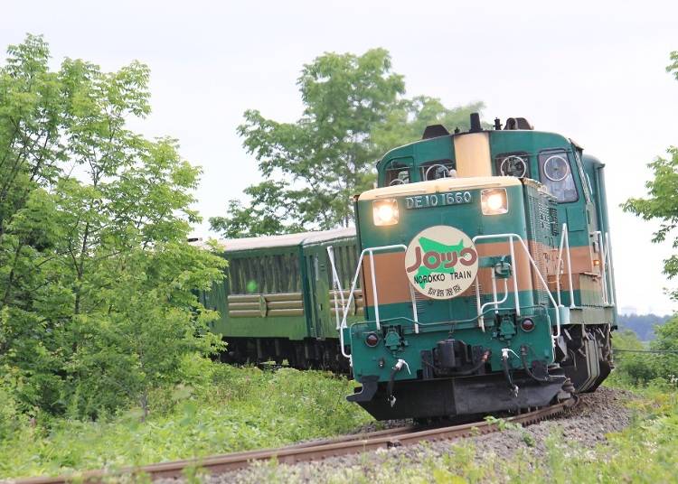 從觀景車輛觀賞壯觀的釧路濕原！季節限定列車
1) 「kushiro濕原noroko號(くしろ湿原ノロッコ号)」