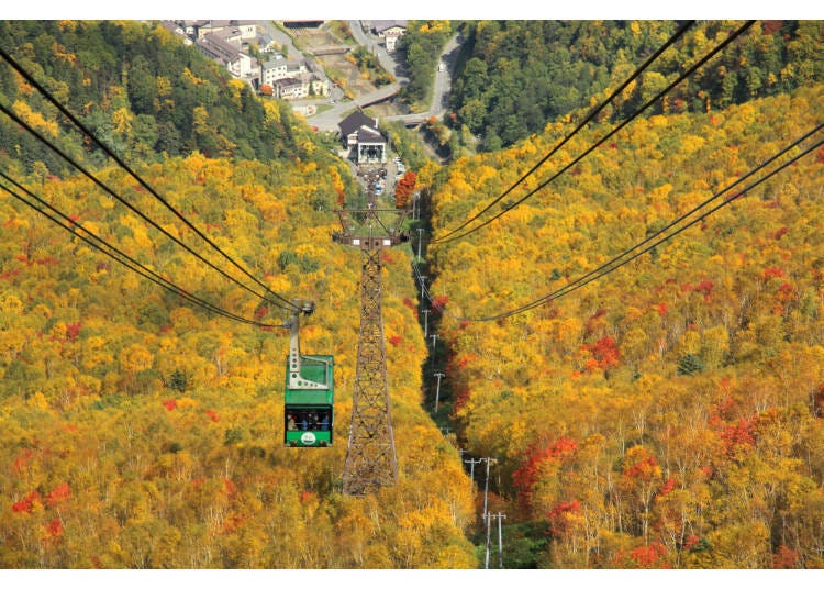 The ropeway leading to Mount Kuro from Sounkyo Onsen