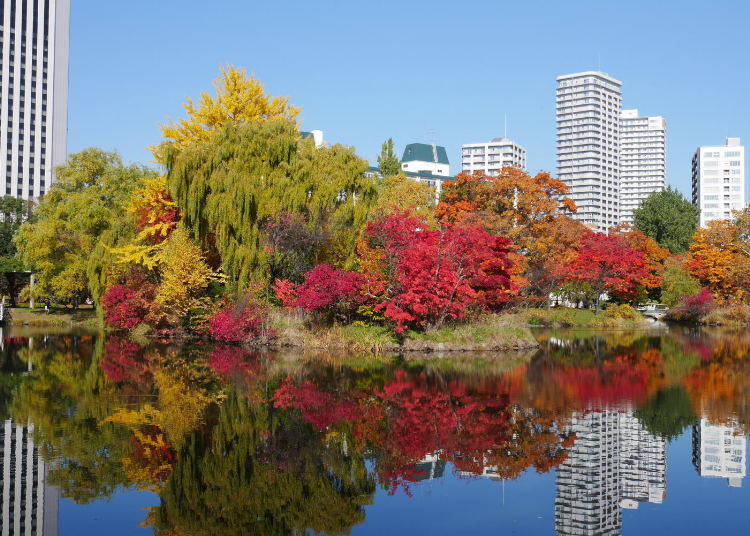 5. Nakajima Park: Reds and greens against the bustling cityscape