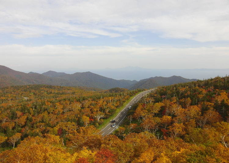 8. Shiretoko Pass: Dynamic Autumn Leaves that Cross the Mysterious Shiretoko