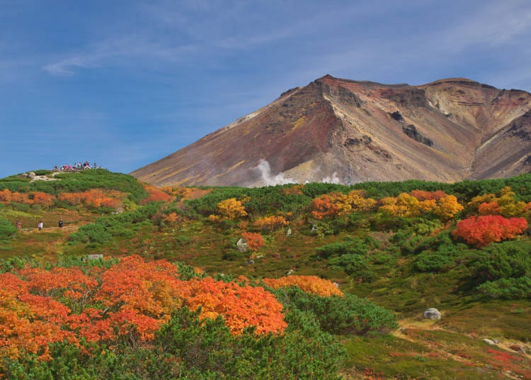 1. Mount Asahidake: See autumn beauty Daisetsuzan from the Asahidake Ropeway!