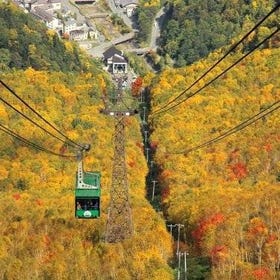 SkyExpress: Autumn Sounkyo Customised Private Day Tour (Up to 8 Passengers)
Details & Bookings ▶
(Photo: Viator)