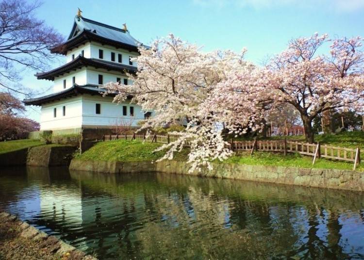 1. Matsumae Park: The hospitality of 10,000 cherry blossoms