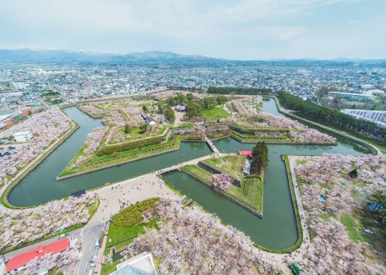 2. Goryokaku Park: Enjoy Hokkaido cherry blossoms from the sky