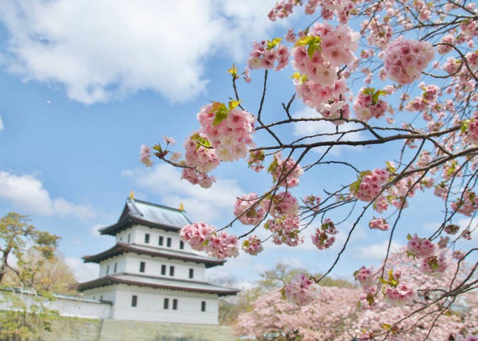 21年版 北海道の桜の名所12選 道南 道東 Live Japan 日本の旅行 観光 体験ガイド