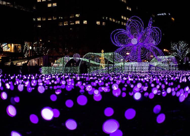 Sapporo's city center glows with light